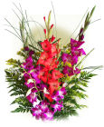 USA Summer Bouquets USA,,:Summer Gladiolus Bouquet